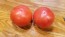 Tomato 'Dixie Red F2'