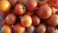 Tomato 'New Yorker' Seeds (Certified Organic)
