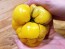 Tomato 'Yellow Reisetomate' 