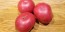 Tomato 'Red Rose' Seeds (Certified Organic) 