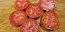 Tomato 'Red Rose' Seeds (Certified Organic) 
