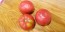 Tomato 'Missouri Pink Love Apple’ Seeds (Certified Organic)