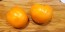 Tomato 'Valencia'