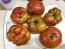 Tomato 'Purple Sicilian Saucer' Seeds (Certified Organic)