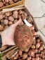 Certified Organic Red Pontiac Seed Potatoes - 2020 Spring - Harvested on our Farm