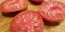 Tomato 'Marianna's Peace' Seeds (Certified Organic)