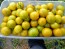 Tomato 'Green Zebra Cherry' Seeds (Certified Organic)