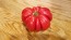 Tomato 'Red Mushroom Basket'