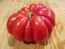 Tomato 'Red Mushroom Basket'