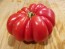 Tomato 'Red Mushroom Basket'