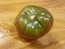 Tomato 'Blue Fruit'