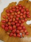 Tomato 'Teardrop Red Grape' 