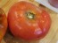 Tomato 'Chapman' 