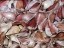  Certified Organic Chesnok Red Culinary Garlic Harvested on our Farm - 4 oz. Bag (FARM PICK-UP)