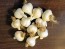 Certified Organic Music Culinary Garlic Harvested on our Farm - 4 oz. Bag