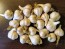 Certified Organic Bogatyr Culinary Garlic Harvested on our Farm - 4 oz. Bag