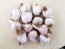 Certified Organic Polish Hardneck Culinary Garlic Harvested on our Farm - 4 oz. Bag