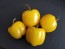 Sweet Pepper ‘Mini Yellow Bell’ Seeds (Certified Organic)