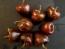 Hot Pepper ‘Chilhuacle Negro' Seeds (Certified Organic)