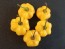 Hot Pepper ‘Yellow Scotch Bonnet’ 