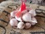 Certified Organic Rose de Lautrec Pink Culinary Garlic Harvested on our Farm - 4 oz. Bag