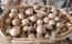 10, 25, or 50 Quality Mini Pear / Tennessee Spinning Gourds - Dried and Cleaned for Crafts