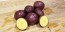 Certified Organic Huckleberry Gold Seed Potatoes - 2020 Spring - Harvested on our Farm