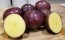 Certified Organic Huckleberry Gold Seed Potatoes - 2020 Spring - Harvested on our Farm