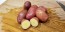 Certified Organic French Fingerling Seed Potatoes - 2020 Spring - Harvested on our Farm 