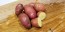 Certified Organic French Fingerling Seed Potatoes - 2020 Spring - Harvested on our Farm 