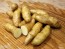 Certified Organic Russian Banana Fingerling Seed Potatoes - 2020 Spring - Harvested on our Farm