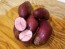 Certified Organic Vermillion Seed Potatoes - 2020 Spring - Harvested on our Farm