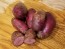 Certified Organic Vermillion Seed Potatoes - 2020 Spring - Harvested on our Farm
