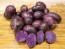 Certified Organic Adirondack Blue Seed Potatoes - 2020 Spring - Harvested on our Farm