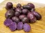 Certified Organic Adirondack Blue Seed Potatoes - 2020 Spring - Harvested on our Farm