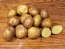 Certified Organic Yellow Finn Seed Potatoes - 2020 Spring - Harvested on our Farm