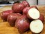 Certified Organic Red Norland Seed Potatoes - 2020 Spring - Harvested on our Farm