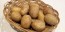 Certified Organic German Butterball Seed Potatoes - 2020 Spring - Harvested on our Farm
