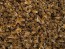 Natural Dried Dead Body Honey Bees (Podmore) from our Hives - 10-50 grams - Apis mellifera