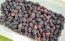 Wild Blackberry Seeds (Certified Organic)