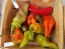 Hot Pepper ‘Black Ghost (Bhut Jolokia x Pimenta de Neyde)' Seeds (Certified Organic)