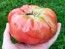 Tomato 'Brandywine'