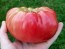 Tomato 'Brandywine'