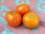 Tomato 'Manitoba'