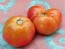 Tomato 'Sandul Moldovan'