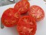 Tomato 'Chalk's Early Jewel' 