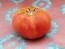 Tomato 'Razzleberry F2'