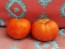 Tomato 'Abraham Lincoln'