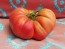 Tomato 'Brandywine'