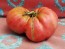 Tomato 'Brandywine'